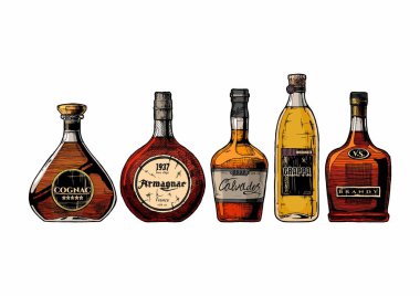 types of Brandy clipart
