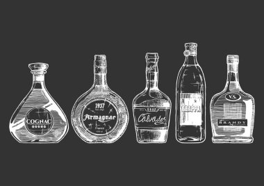 illustration of different brandies types clipart