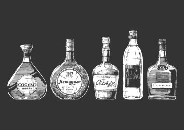 illustration of different brandies types clipart