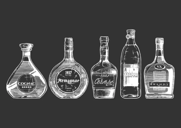Illustration of different brandies types — Stock Vector