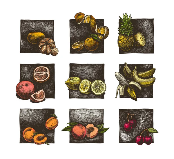 Ensemble d'agrumes et de fruits — Image vectorielle