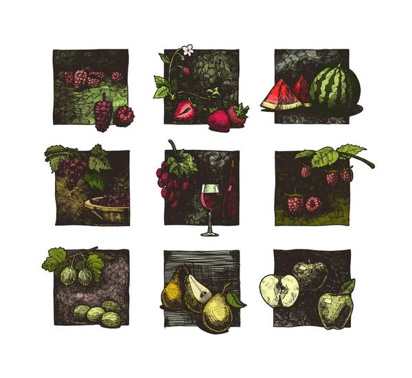 Ensemble de baies et de fruits — Image vectorielle
