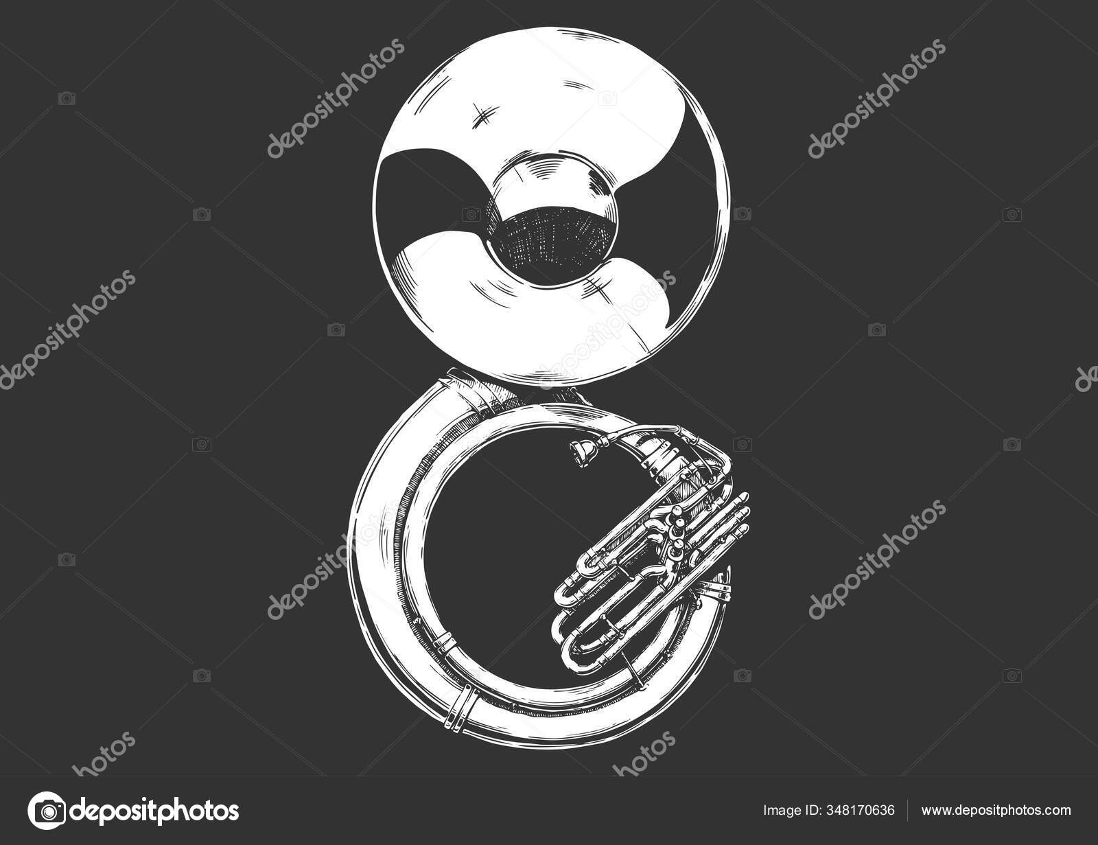 Sousaphon Stock-Vektorbilder | DepositPhotos, image size:1600x1231