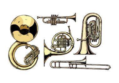 Vector hand drawn set of brass musical instruments. Sousaphone, trumpet, french horn, tuba and trombone. isolated on white background.   clipart