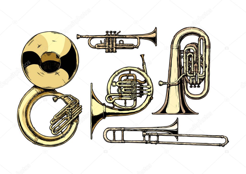 Vector hand drawn set of brass musical instruments. Sousaphone, trumpet, french horn, tuba and trombone. isolated on white background.  