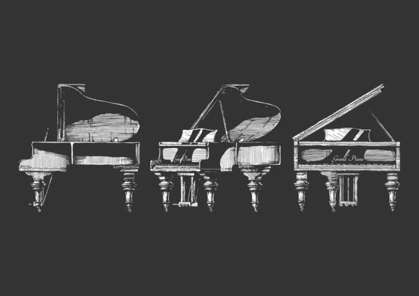 Vetor Desenhado Mão Ilustração Grand Piano Projeções Ortográficas Isolado Fundo —  Vetores de Stock