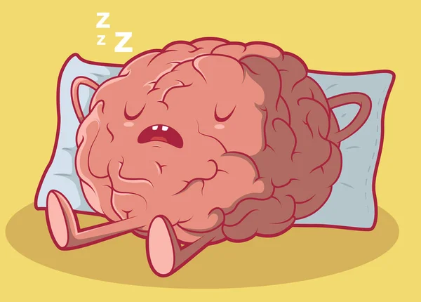 Sleeping Brain Vector Illustratie Mediterend Ontwerpconcept — Stockvector