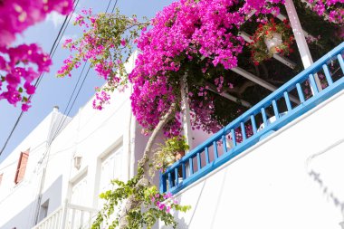 Renkli Mykonos Yunanistan