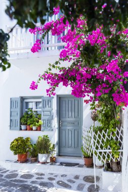Renkli Mykonos Yunanistan