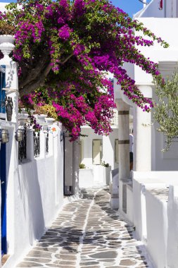 Renkli Mykonos Yunanistan