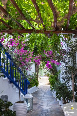 Renkli Mykonos Yunanistan