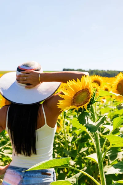 Mujer atractiva en el campo de girasol —  Fotos de Stock