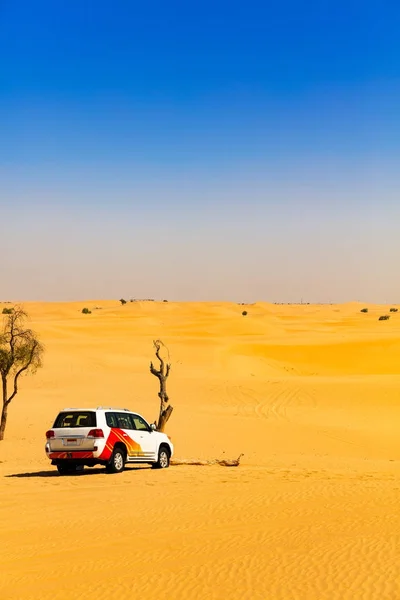 Veículo fora de estrada em dunas de areia do deserto — Fotografia de Stock