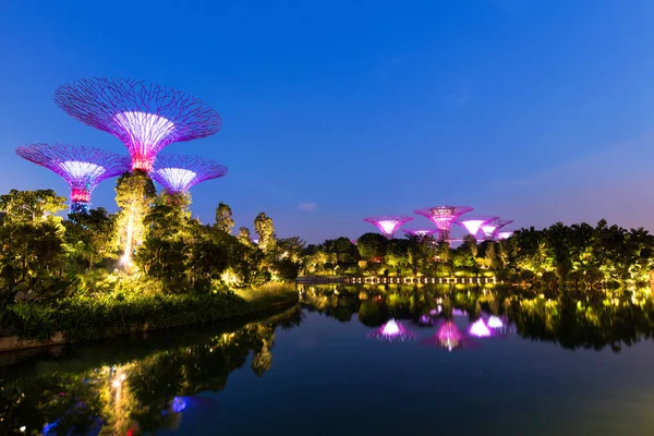 Zahrady u zátoky v Singapuru — Stock fotografie