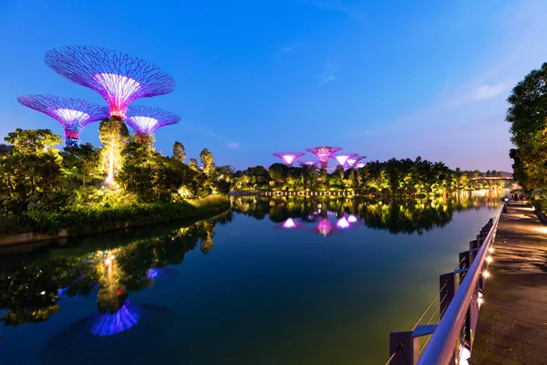 Singapur Körfezi 'ndeki Bahçeler