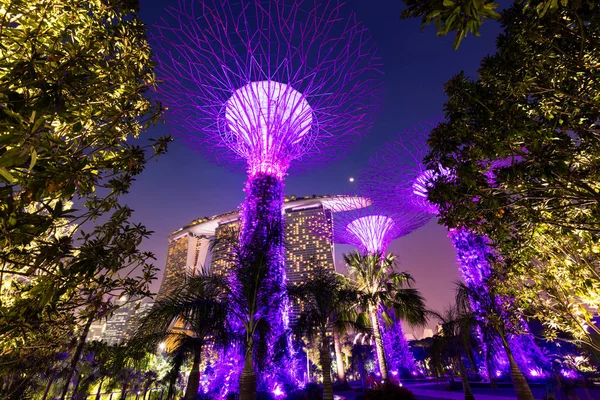 Zahrady u zátoky v Singapuru — Stock fotografie