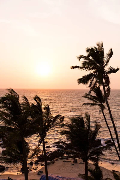 Sunset behind palm trees on Arambol Beach, Goa — Stock Photo, Image