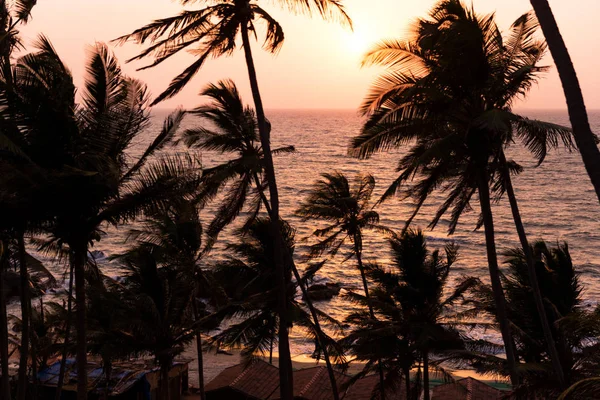 Pôr do sol atrás de palmeiras em Arambol Beach, Goa — Fotografia de Stock