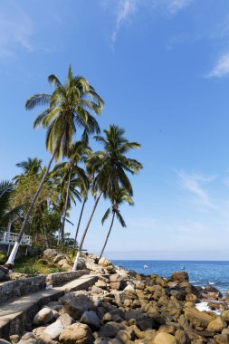 Puerto Vallarta, Jalisco, Meksika yakınındaki Pizota tropikal plaj