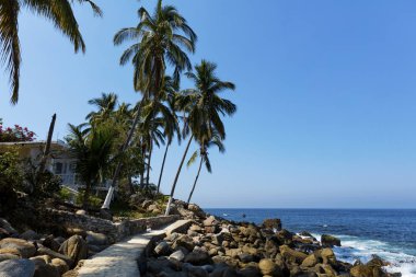 Puerto Vallarta, Jalisco, Meksika yakınındaki Pizota tropikal plaj