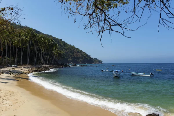 Plage Tropicale Pizota Près Puerto Vallarta Jalisco Mexique — Photo