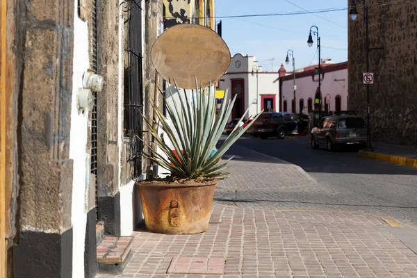 哈利斯科 墨西哥 历史悠久的龙舌兰酒城 — 图库照片