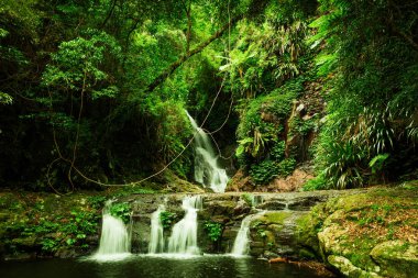 Elabana Falls  waterfall in Lamington National Park clipart