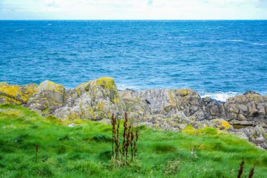 Isle of Man kabuğu, Isle of Man kabuğu Tepesi'nden kıyısında