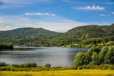 Güzel manzara ve Norveç, dağ ve tepeler yeşil sahne sahne