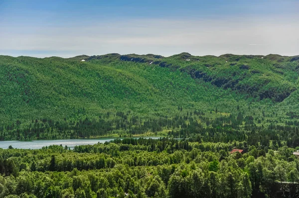 美丽的风景和挪威，绿色的小山和山风光风光 — 图库照片