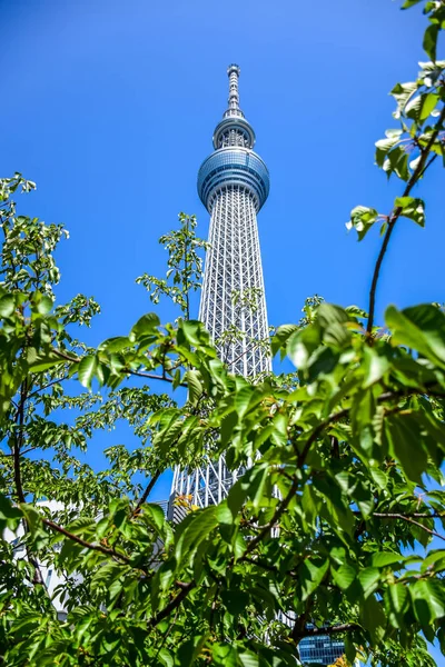 Tokyo, Japan: Tokyo Skytree, ein berühmter Turm und Wahrzeichen Tokyos — Stockfoto