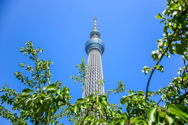 Tokyo, Japan: Tokyo Skytree, ein berühmter Turm und Wahrzeichen Tokyos — Stockfoto