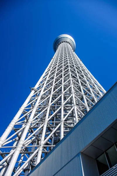 TOKYO, JAPÓN: Tokyo Skytree, una famosa torre y monumento de Tokio —  Fotos de Stock