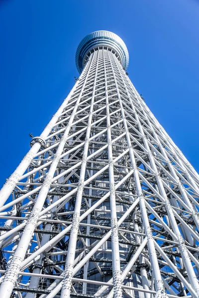 TOKYO, JAPÓN: Tokyo Skytree, una famosa torre y monumento de Tokio —  Fotos de Stock