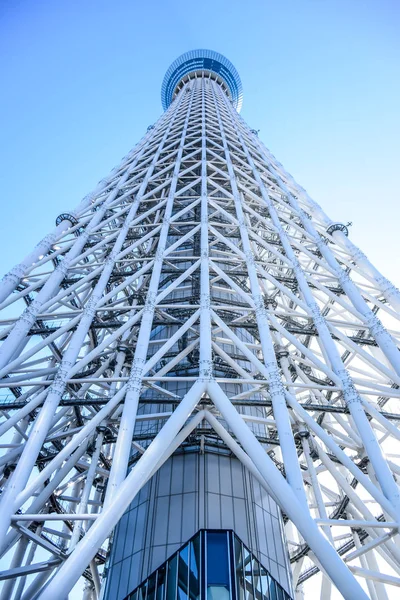 Tokyo, Japan: Tokyo Skytree, ein berühmter Turm und Wahrzeichen Tokyos — Stockfoto