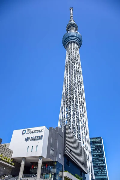 Tokió, Japán: Tokyo Skytree, a híres torony és mérföldkő a Tokyo — Stock Fotó