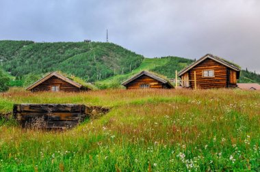 Geilo, Norveç: Vadinin ortasında çatıda çim ile eski geleneksel çerçeve evler, Geilo, Norveç