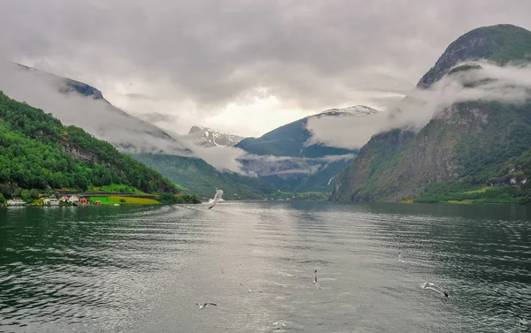 Bulutlu bir günde, Norveç Fiyordu güzel manzara ve sahne görünümü — Stok fotoğraf