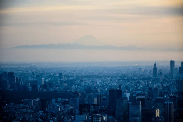 TOKYO, JAPÃO: Vista aérea da cidade de Tóquio tomada do topo da Torre Skytree de Tóquio — Fotografia de Stock
