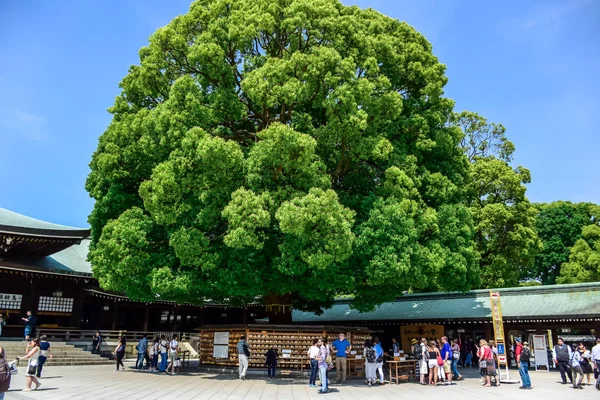 Tokyo, Japonya: Meiji Tapınağı Shibuya, Tokyo yer turist ziyaret ediyor — Stok fotoğraf