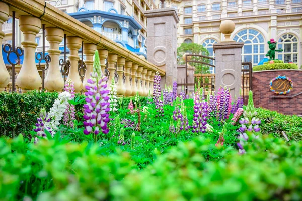 CHIBA, JAPÓN: Flores en la entrada del Tokyo Disneyland Hotel en Urayasu, Chiba, Japón —  Fotos de Stock