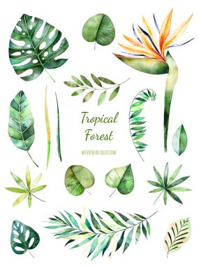 Tropical Leafy collection.  clipart