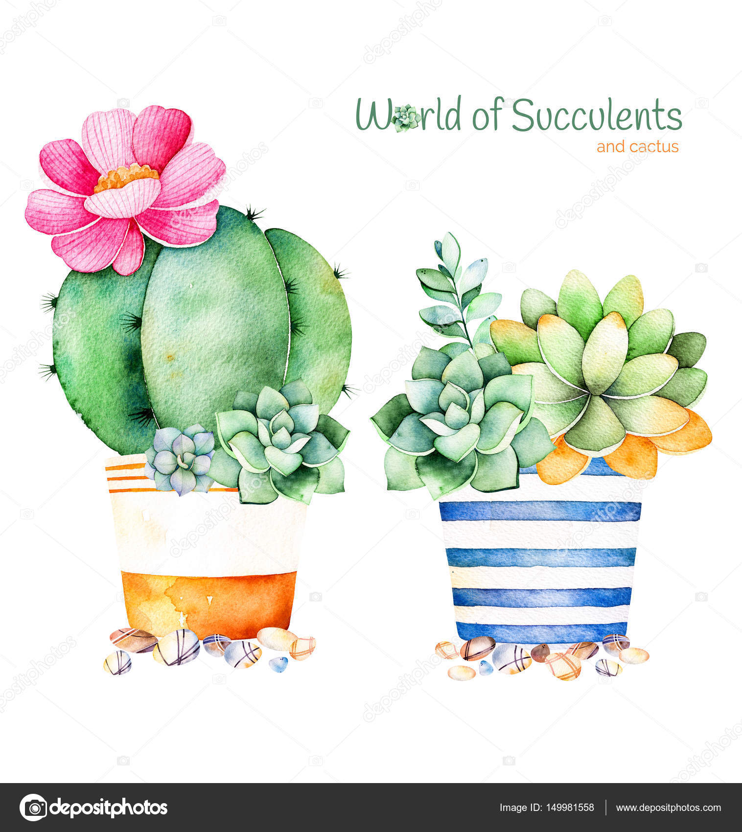 Watercolor Succulents Cliparts Weddings Cactus Clip Art Flower Bouquet Stones and Pebbles Graphics for Personal and Commercial Use