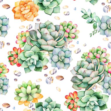 Succulents bitkiler ile renkli Seamless Modeli