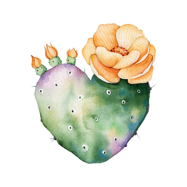 Watercolor handpainted cactus plant — Stock Photo, Image