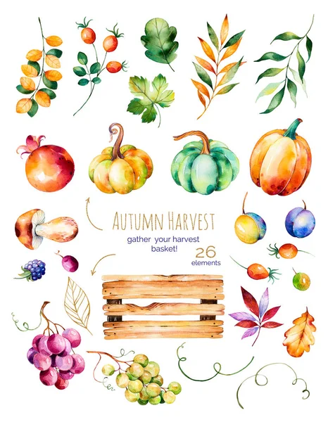 Colorida colección de cosecha de otoño — Foto de Stock