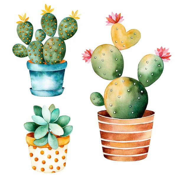 Watercolor handpainted cactus plant — Stock Photo, Image