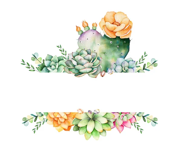 Kleurrijke bloemen frame met bladeren, succulente installatie — Stockfoto