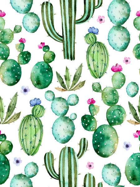 Aquarelle usine de cactus peint à la main — Photo