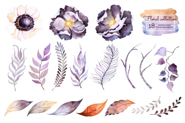 Watercolor collection with flowers — Stock Photo, Image